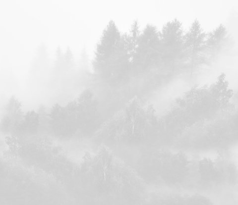 Trabe, dimensionado de estructuras de madera según el Código Técnico de la edificación (CTE)