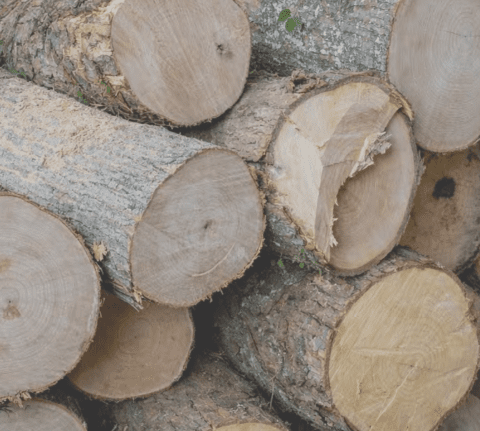 Green Chestnut in Construction